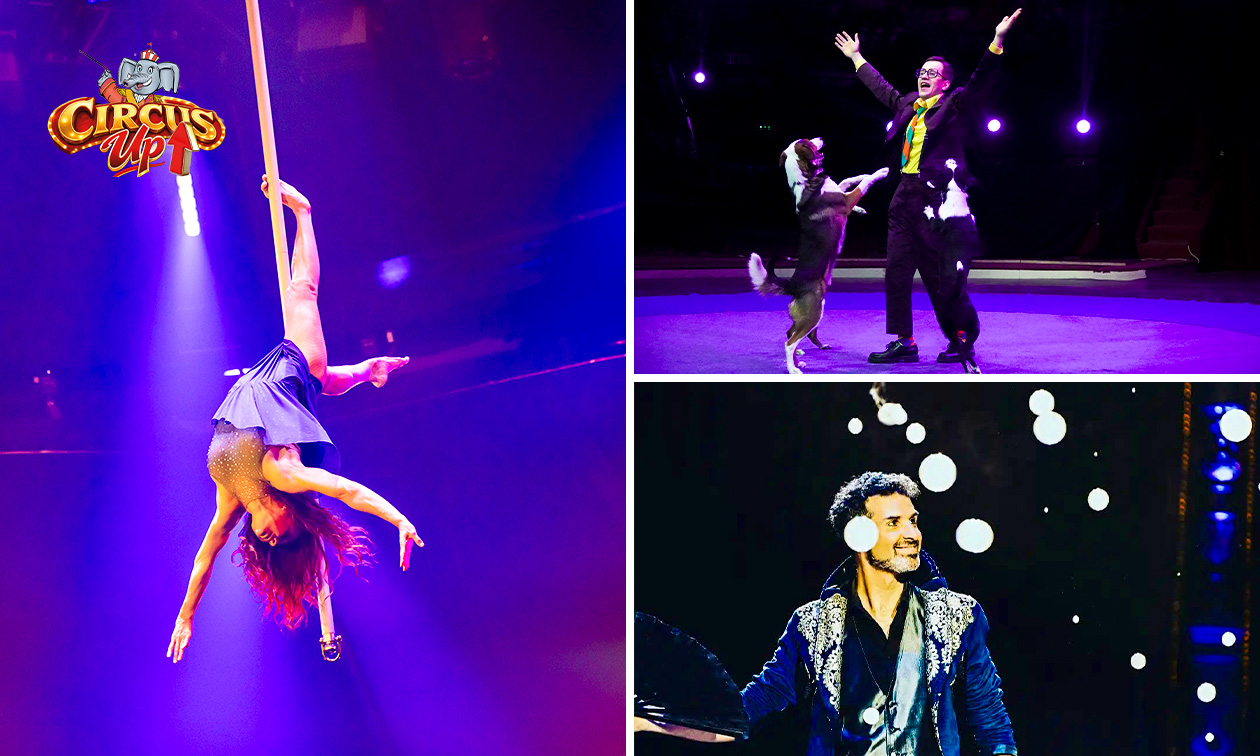 Circus Up!