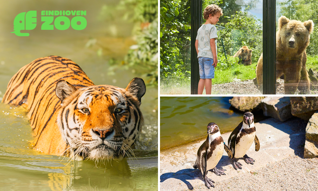 Eindhoven Zoo