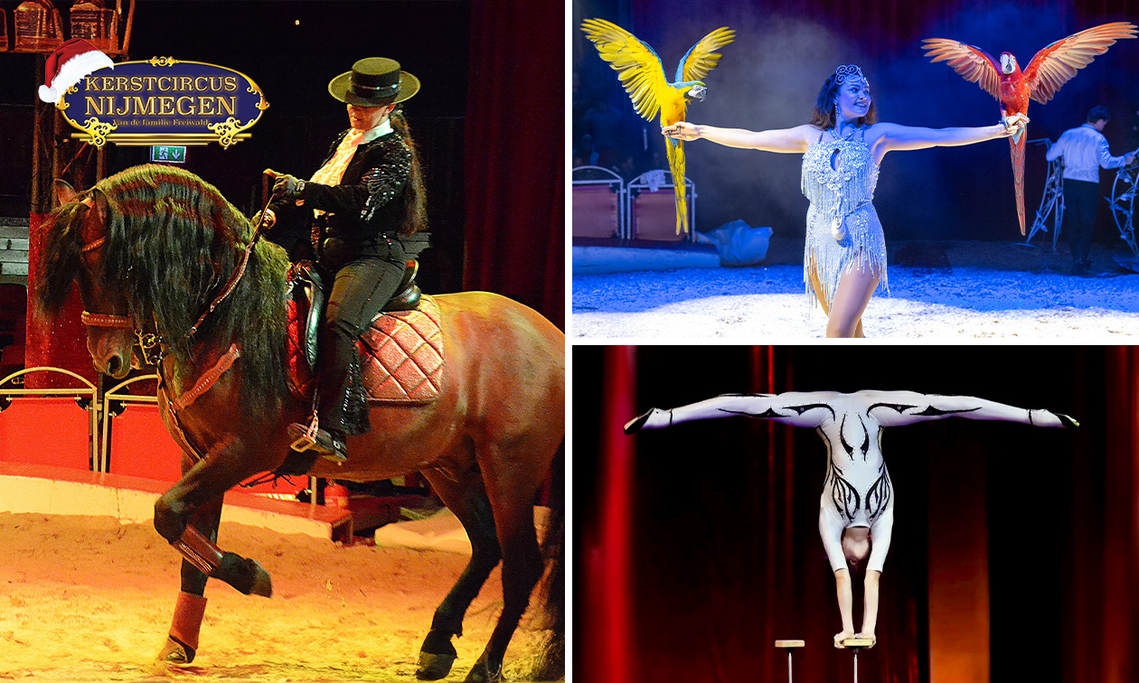 Kerstcircus Nijmegen