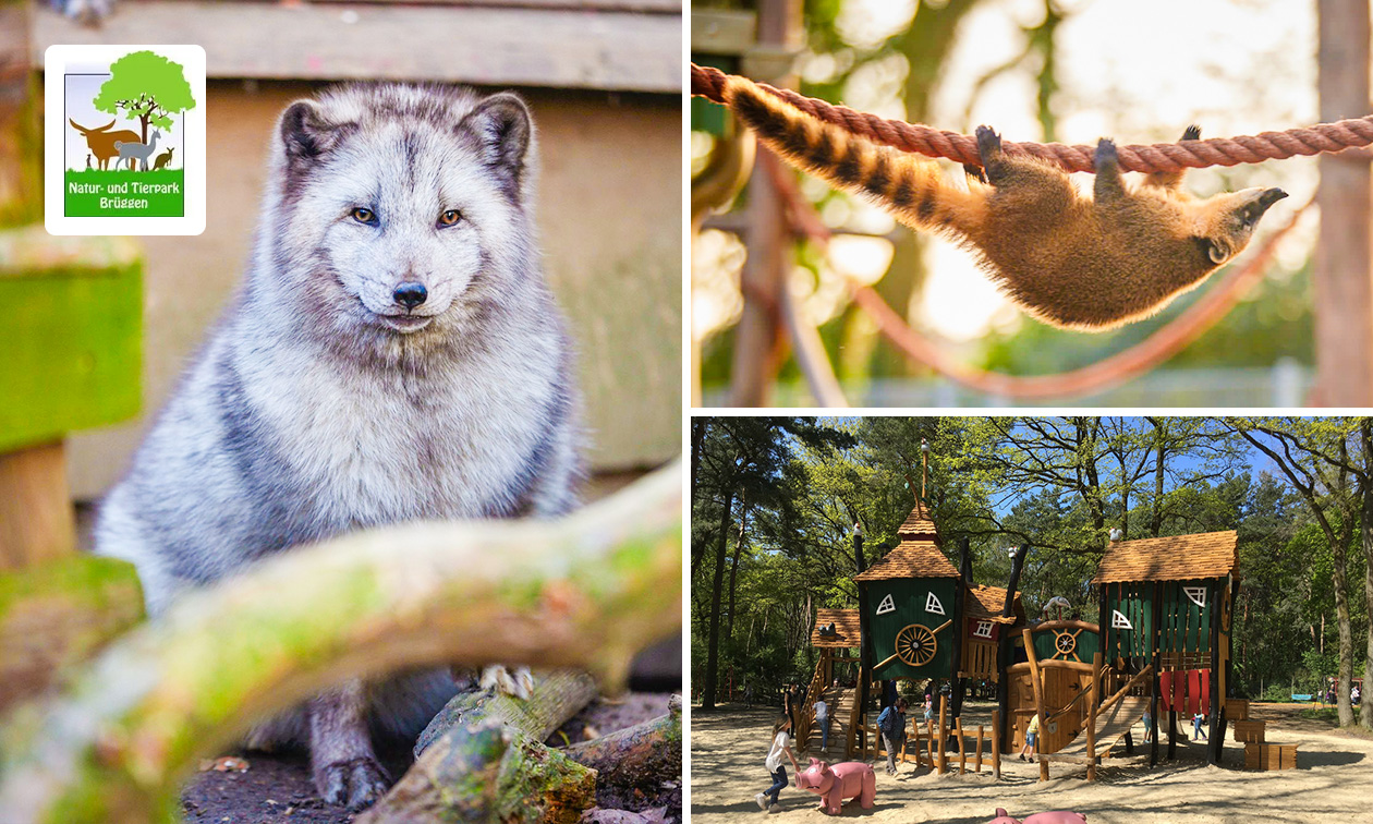 Natur- und Tierpark Brüggen
