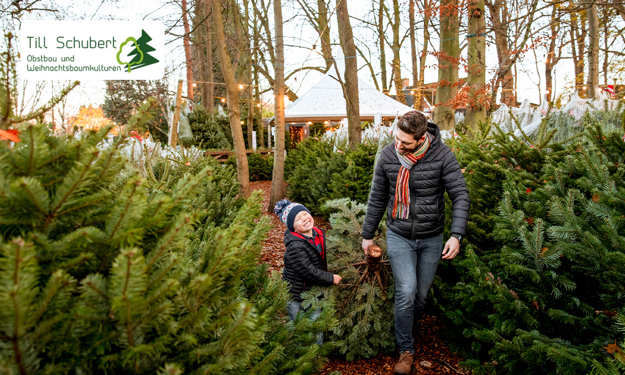 Till Schubert Obstbau und Weihnachtsbaumkulturen
