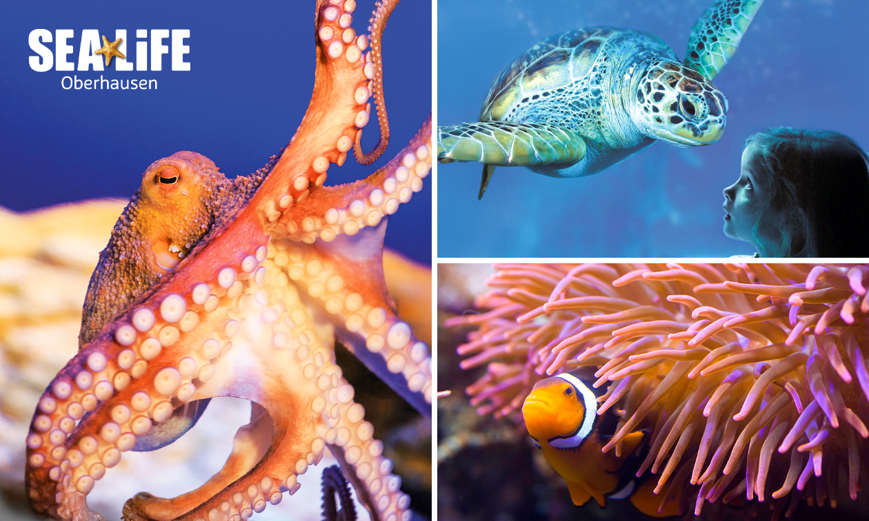 SEA LIFE Oberhausen