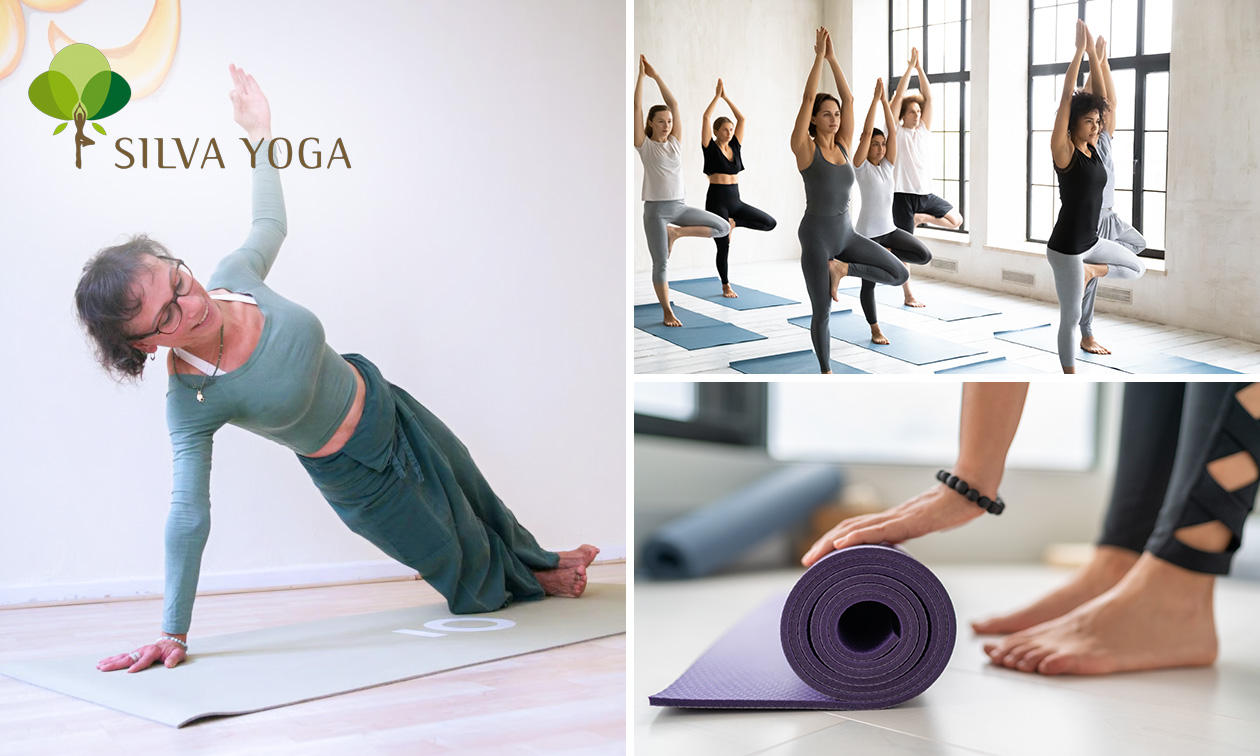 Silva Yoga