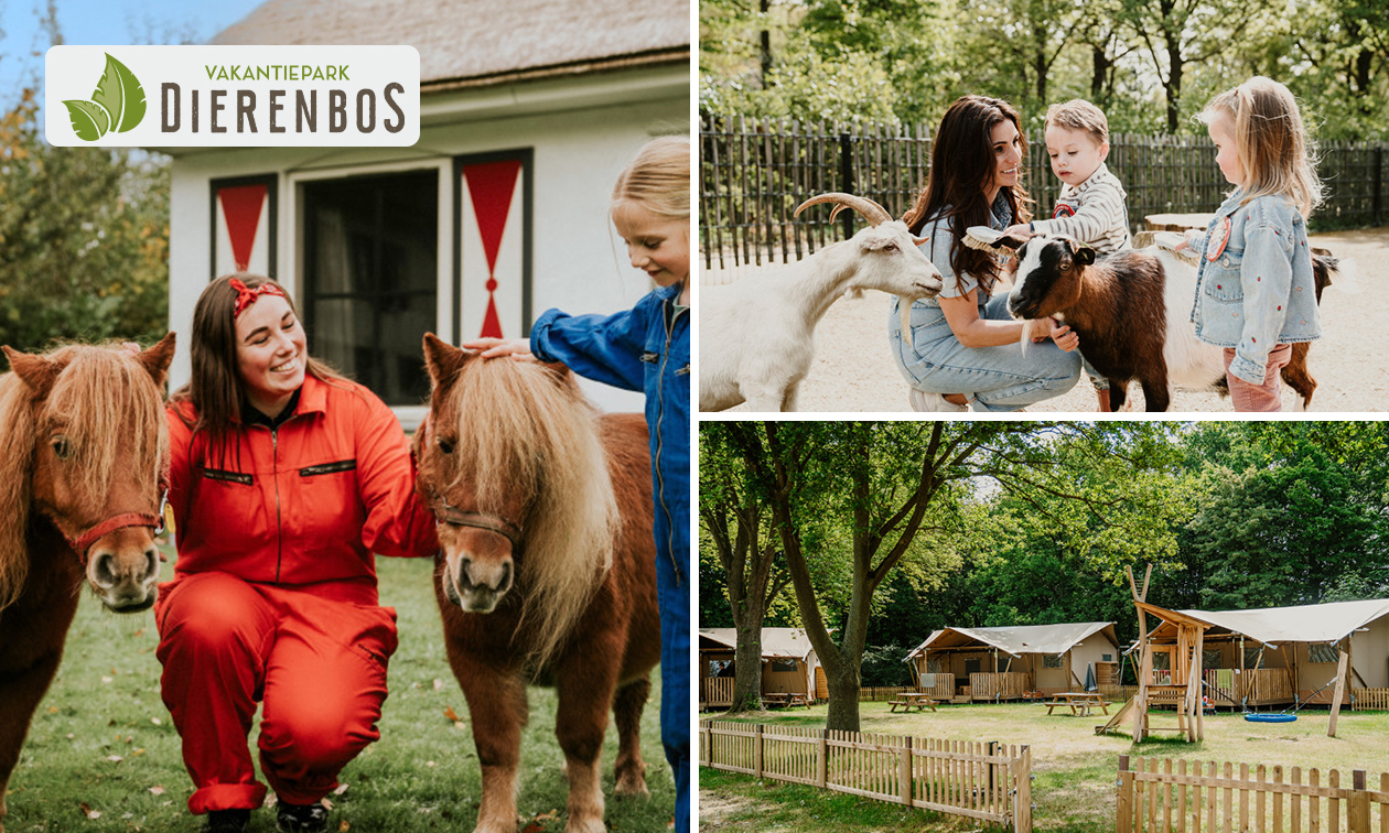 Vakantiepark Dierenbos