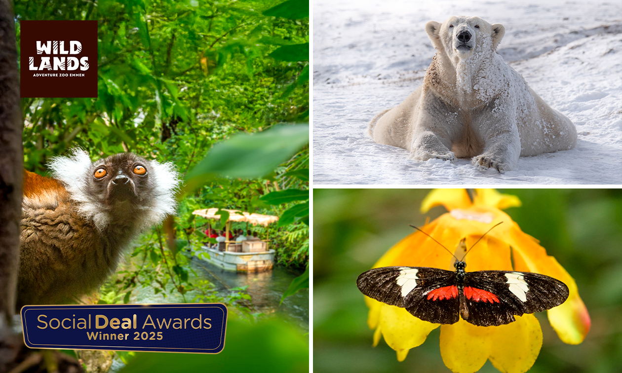 WILDLANDS Adventure Zoo Emmen