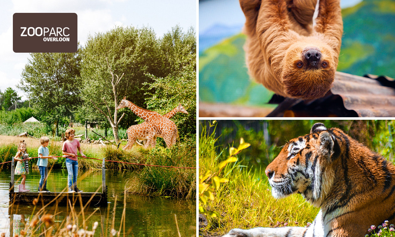 ZooParc Overloon, Entree ZooParc Overloon Spare 33% in Mechelen mit